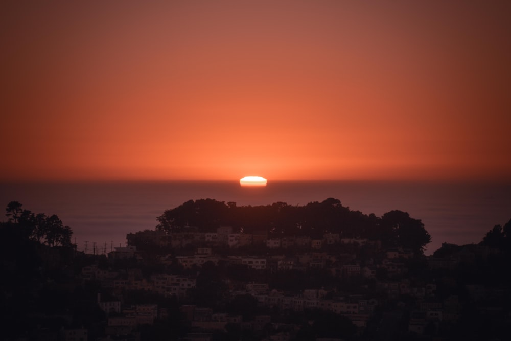 silhouette of trees during sunset