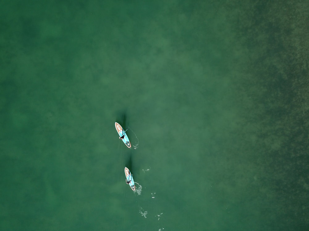 Luftaufnahme einer Person, die auf grünem Wasser surft