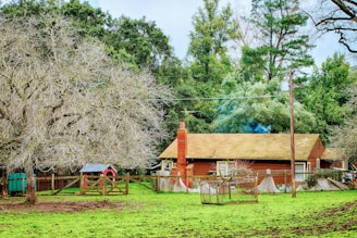 A rustic wooden house with a brick chimney stands amidst a lush, green lawn. Large trees with bare branches are present, and a fenced area with a small red barn is visible. The backdrop includes dense greenery, indicating a rural setting.