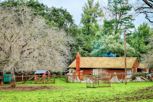 A rustic wooden house with a brick chimney stands amidst a lush, green lawn. Large trees with bare branches are present, and a fenced area with a small red barn is visible. The backdrop includes dense greenery, indicating a rural setting.
