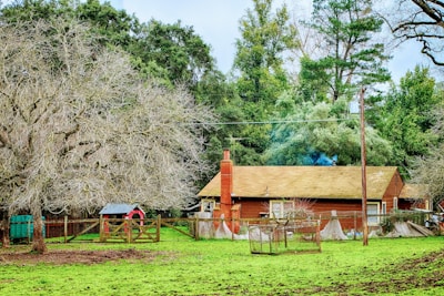 A rustic wooden house with a brick chimney stands amidst a lush, green lawn. Large trees with bare branches are present, and a fenced area with a small red barn is visible. The backdrop includes dense greenery, indicating a rural setting.