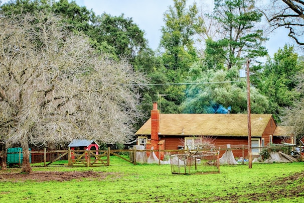 A rustic wooden house with a brick chimney stands amidst a lush, green lawn. Large trees with bare branches are present, and a fenced area with a small red barn is visible. The backdrop includes dense greenery, indicating a rural setting.