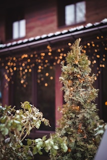 green and brown christmas tree