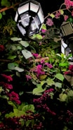 Two lantern-style streetlights illuminate a lush arrangement of green leaves and vibrant pink flowers, creating a serene and enchanting atmosphere. The lighting casts gentle shadows among the foliage, highlighting the intricate texture and details of the plants.