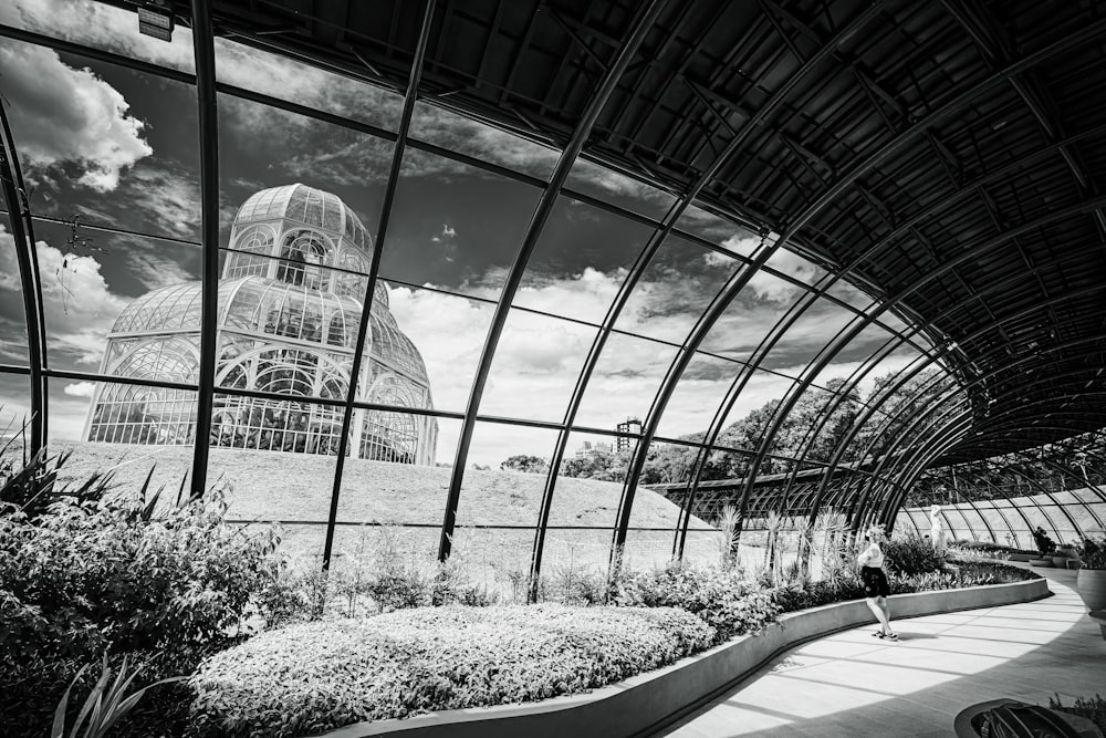 grayscale photo of metal frame glass building