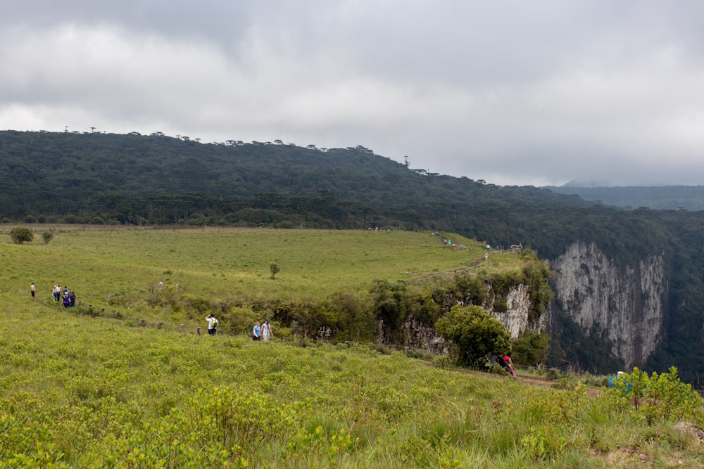 campo di erba verde con montagne verdi in lontananza