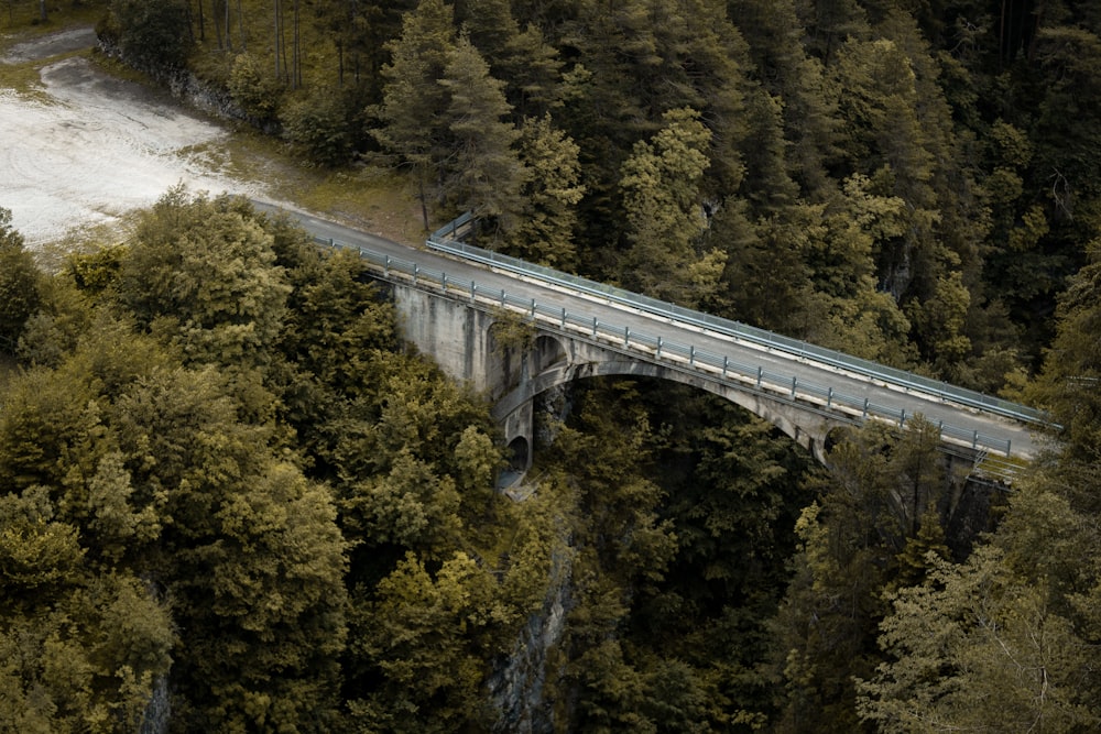 white bridge over river between green trees during daytime