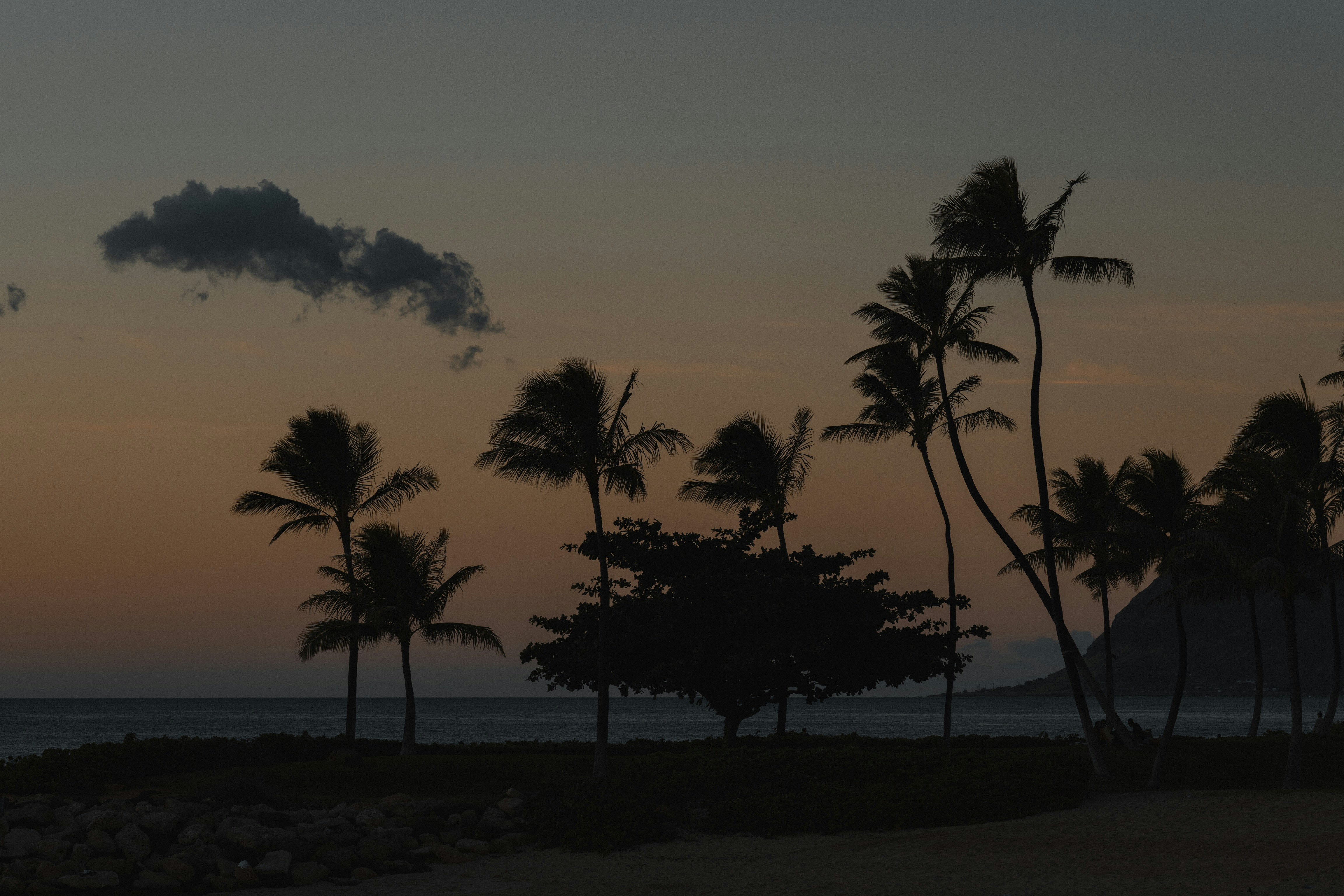 Photo by lgnwvr