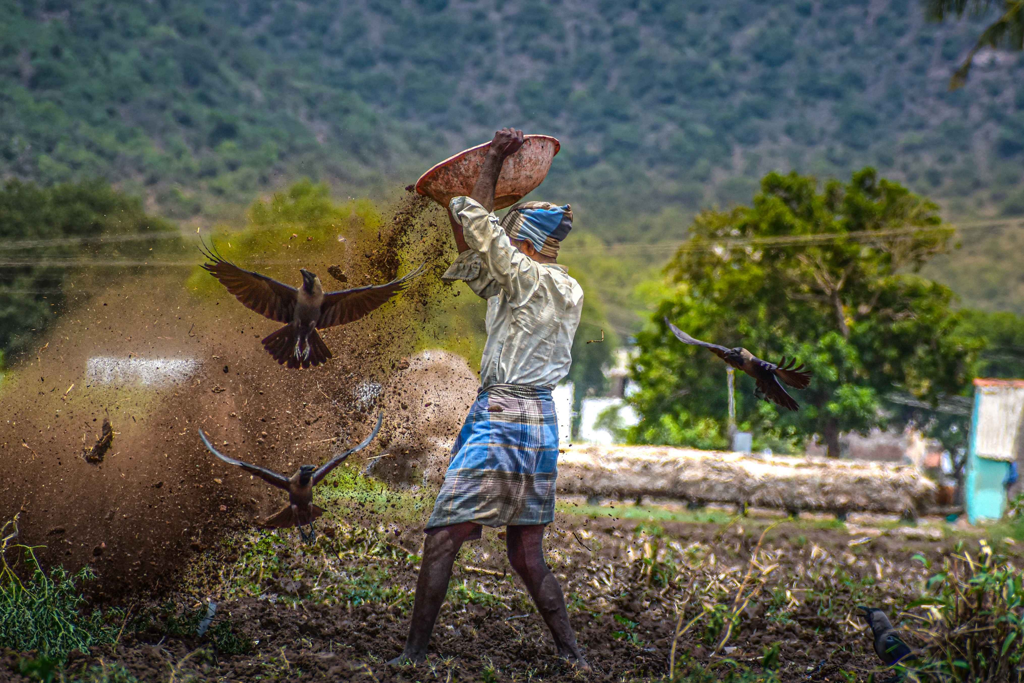 Photo by navi_photography