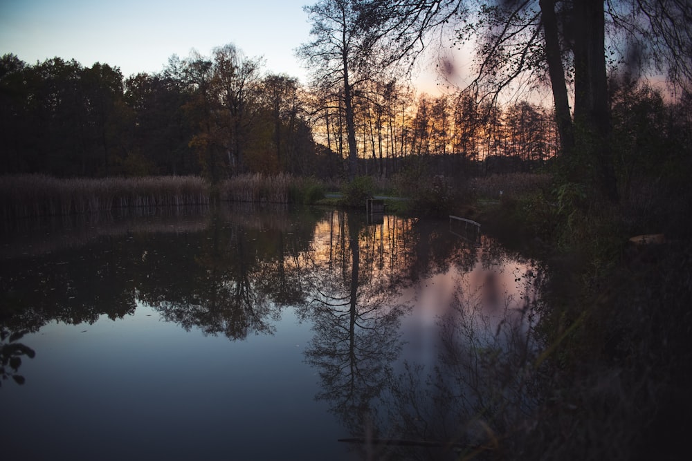 body of water near trees during sunset