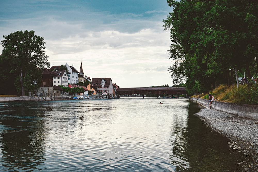 river between green trees and houses under blue sky and white clouds during daytime