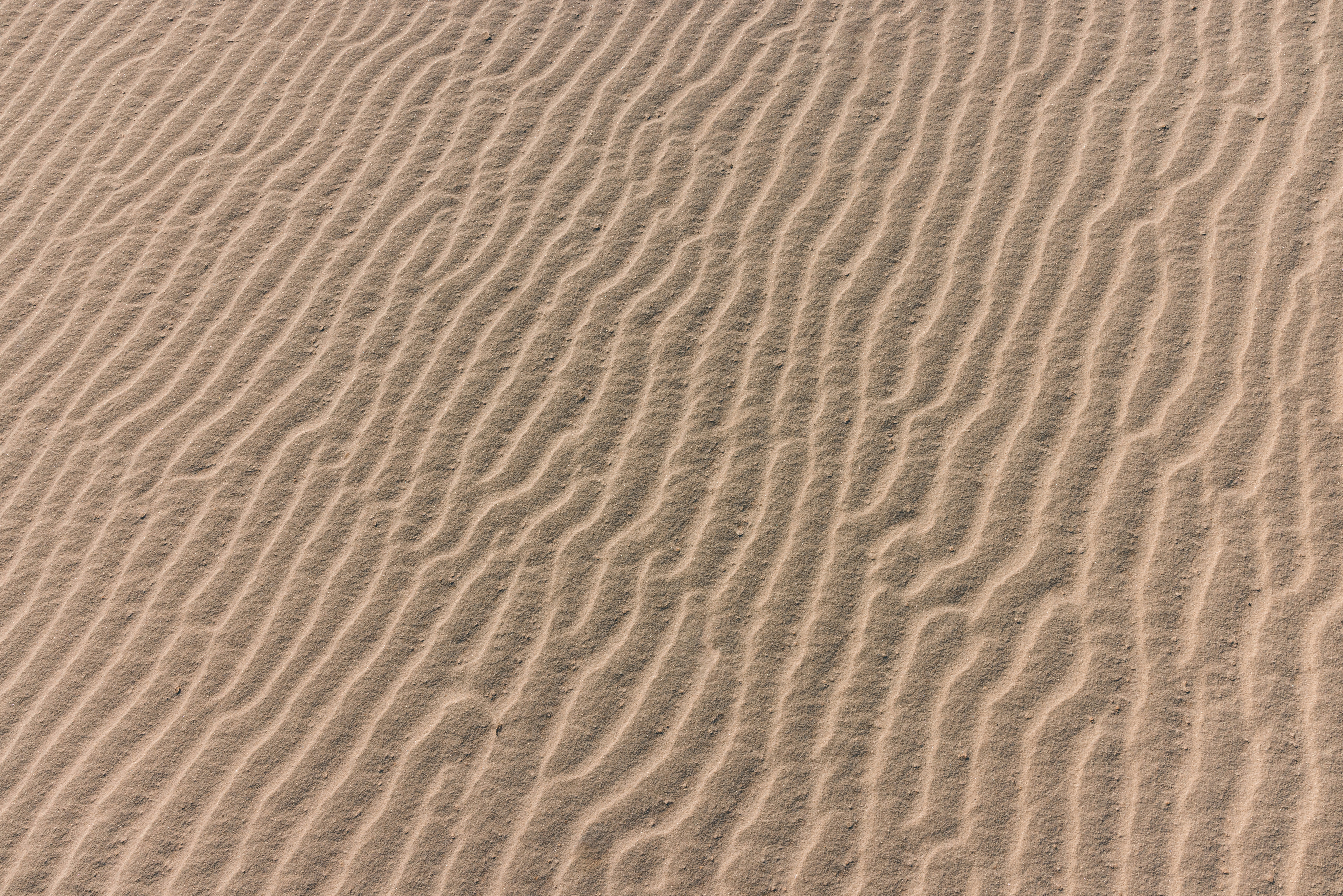 brown sand with water during daytime