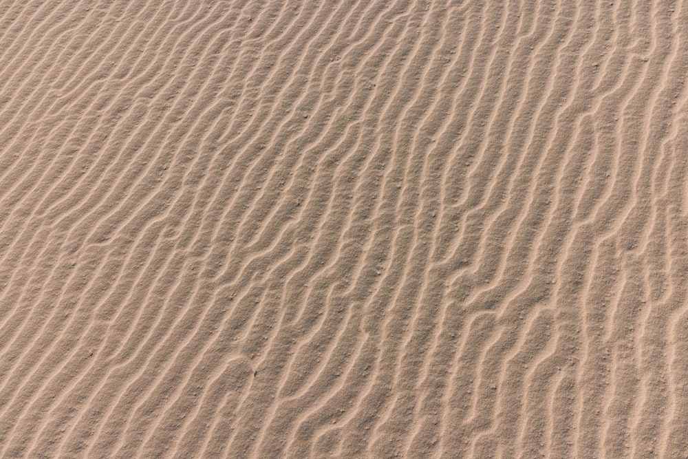 brown sand with water during daytime