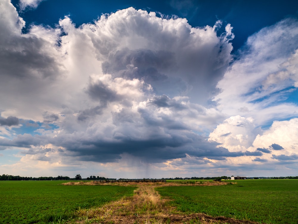 green grass field under white clouds and blue sky during daytime