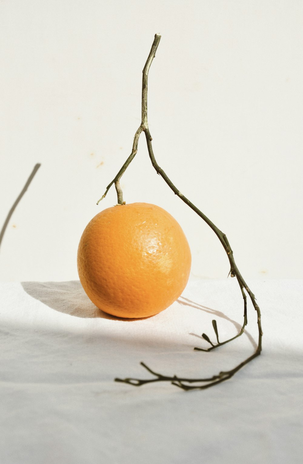 orange fruit on white surface