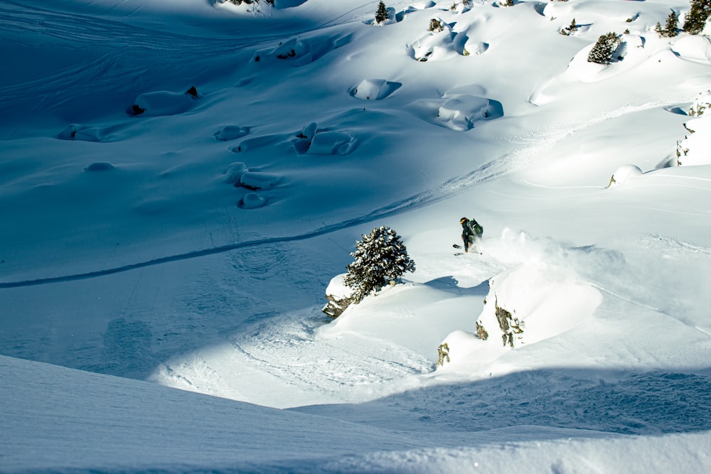 green tree on snow covered ground during daytime