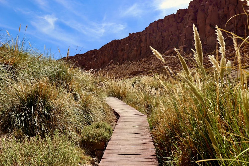 brown wooden pathway between green grass and brown mountain during daytime