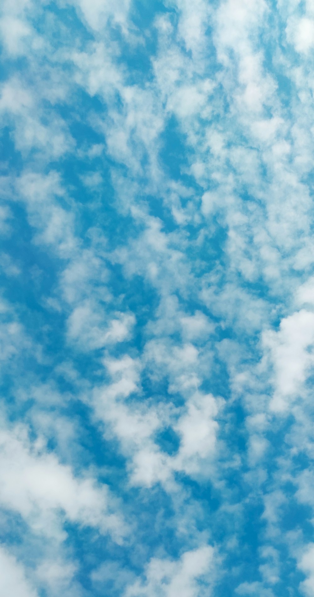 blue sky with white clouds