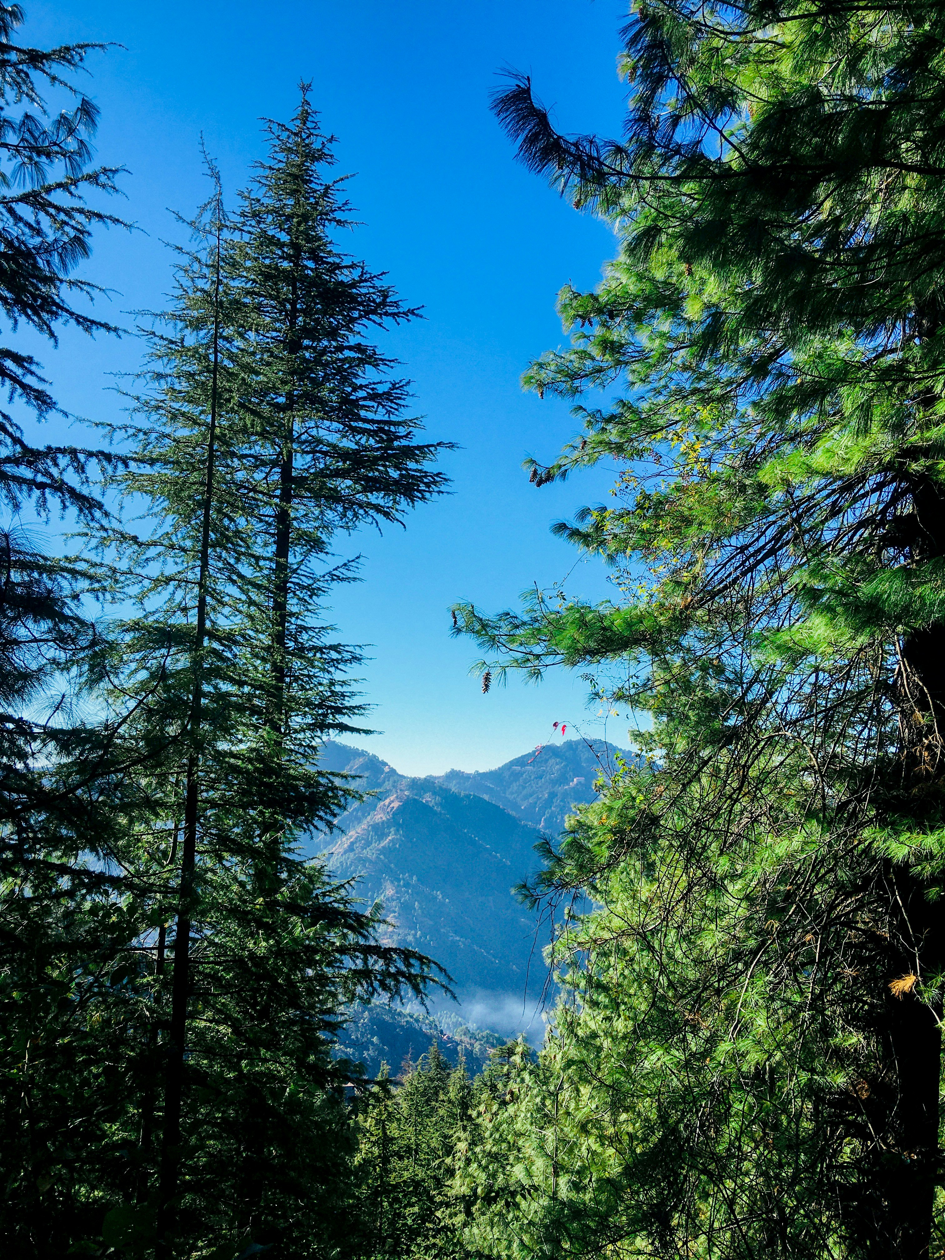 Photo by pranitkhedekar