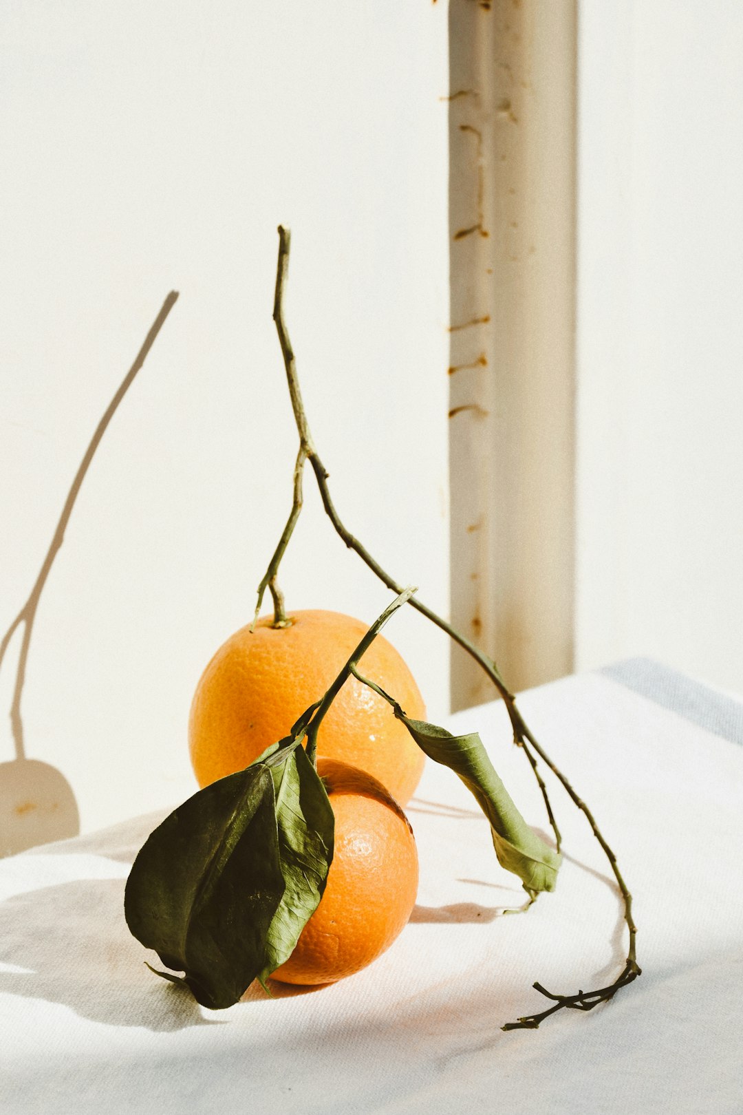 orange fruit on white table