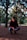 man in red hoodie and blue denim jeans sitting on brown ground near green trees during
