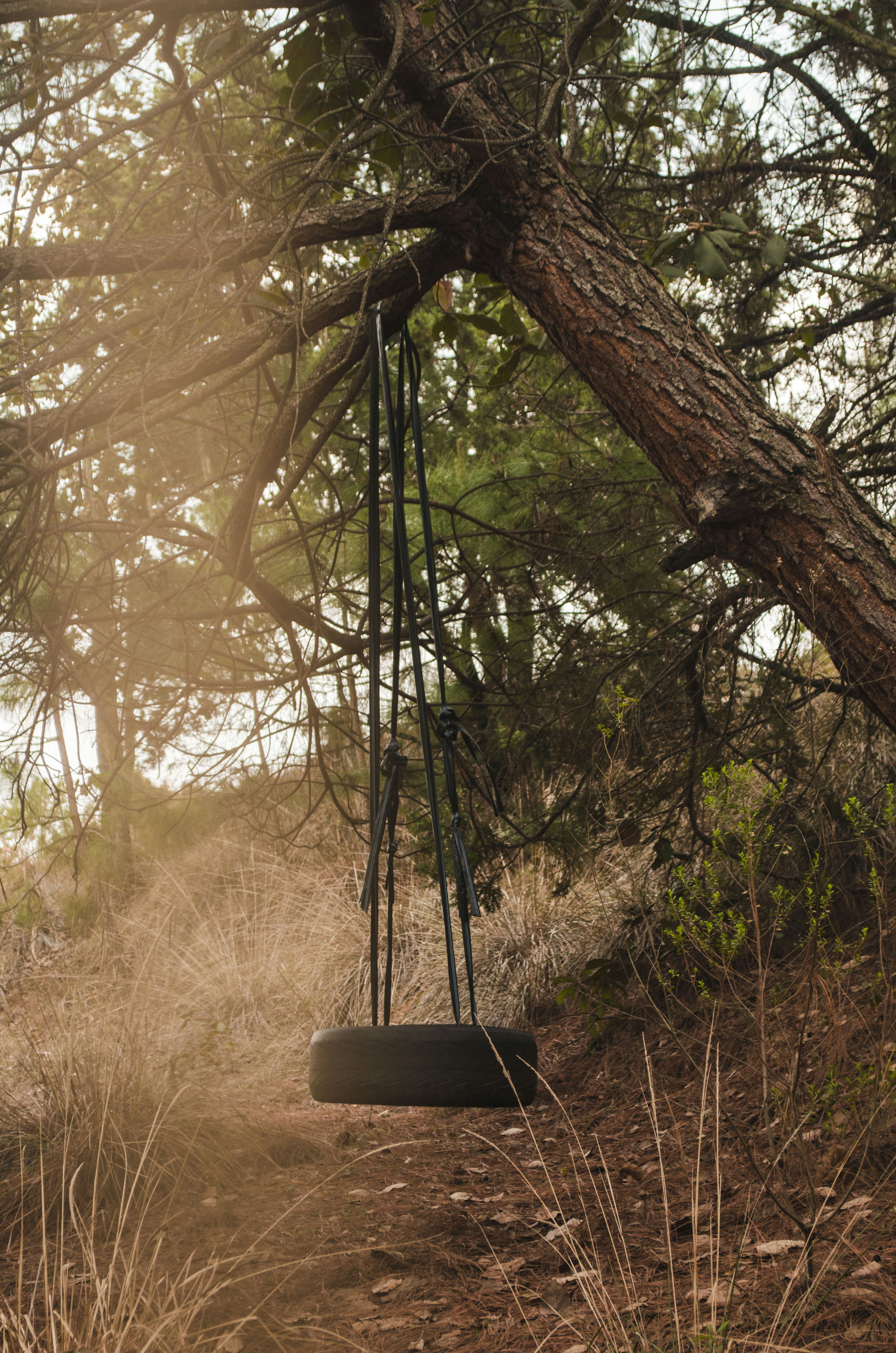 makeshift swing