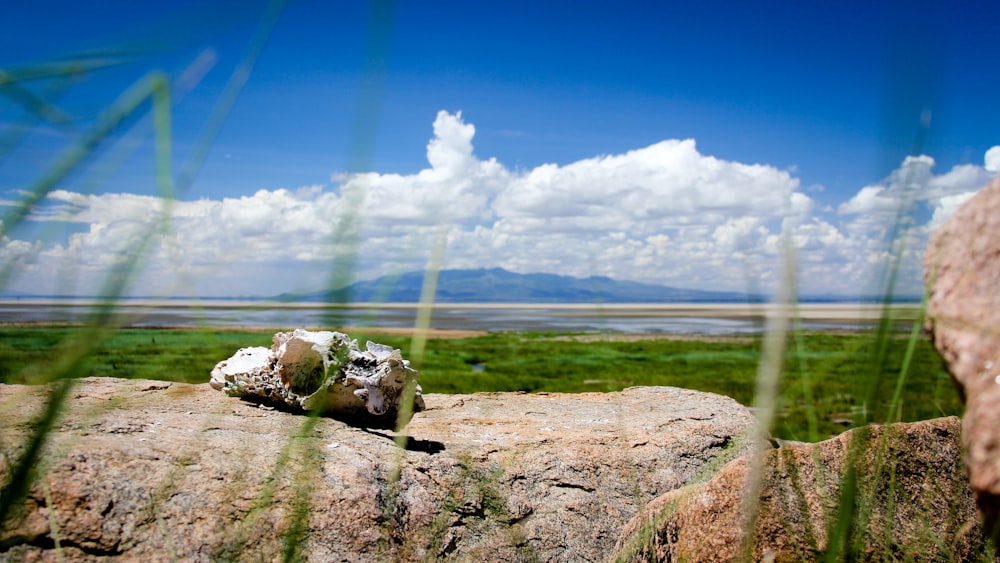 brown rock formation under blue sky during daytime