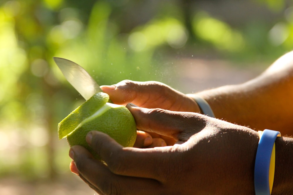 person holding green heart shaped leaf