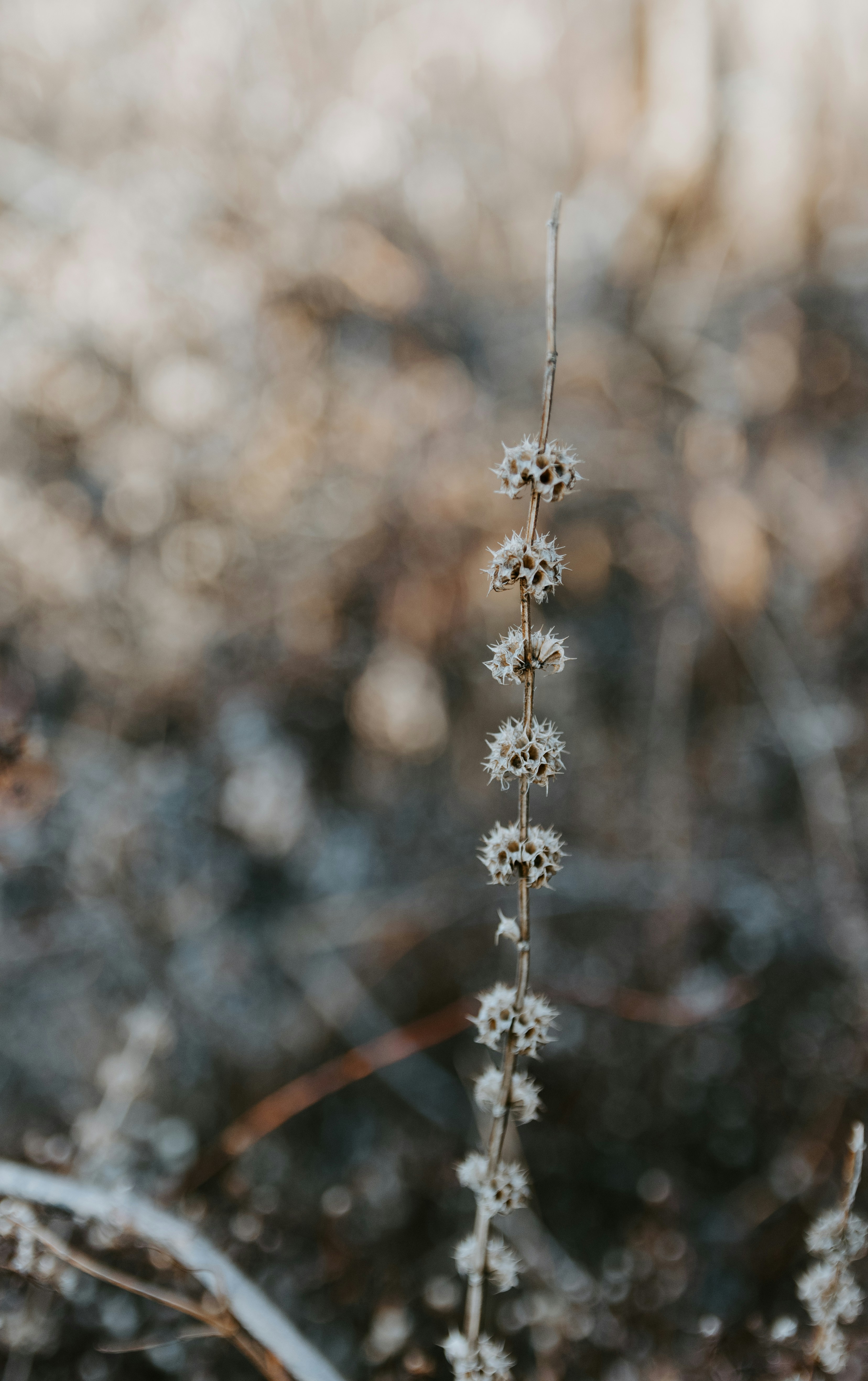 Photo by kellysikkema