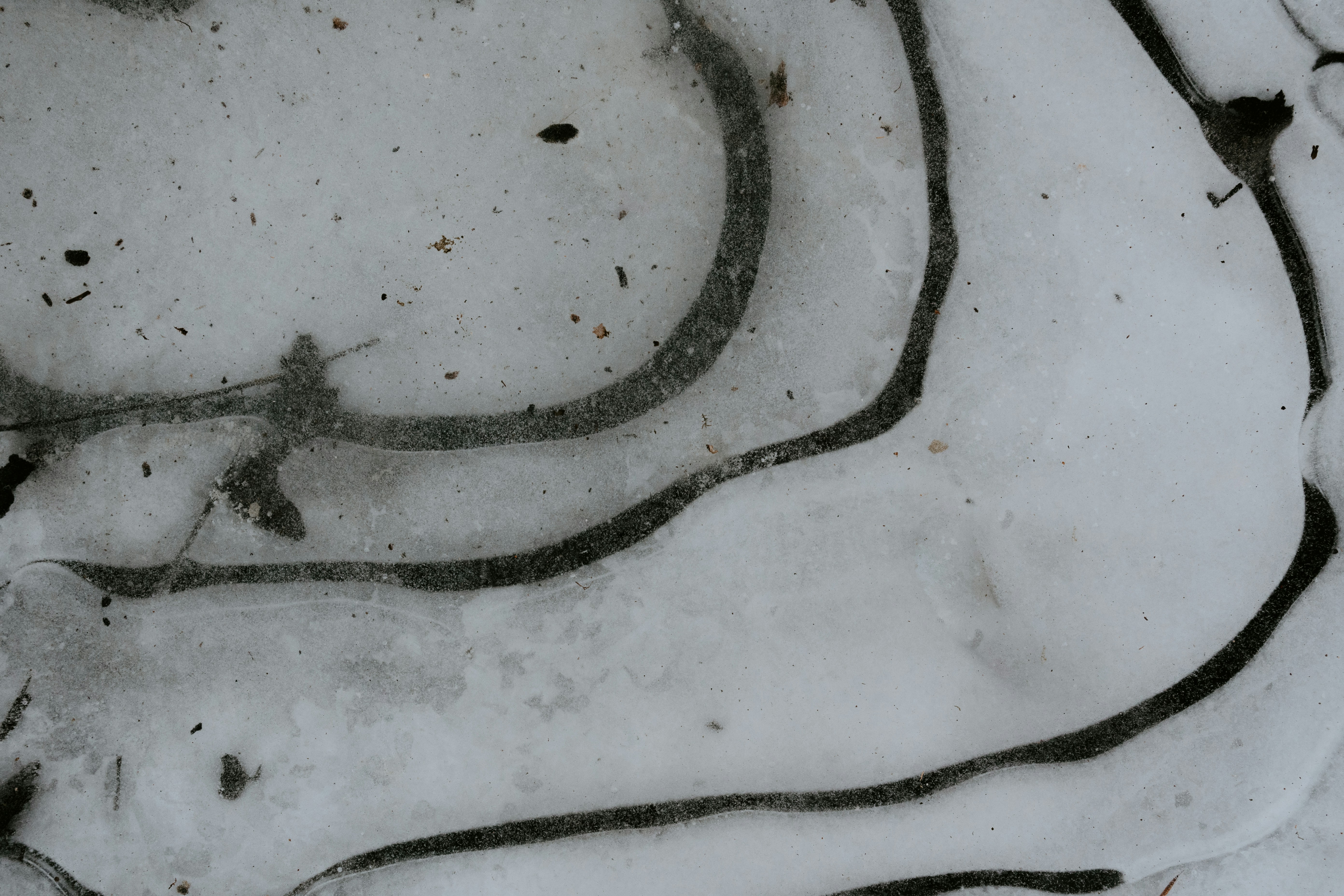 Photo by kellysikkema