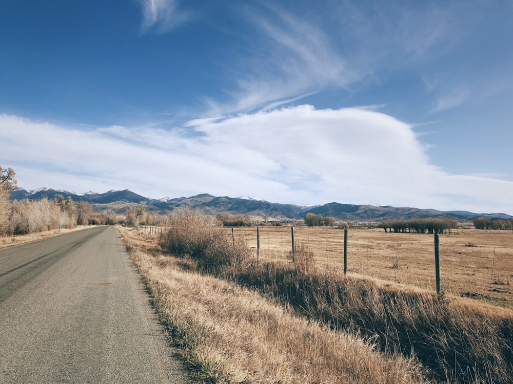 gray concrete road between brown grass field under blue sky and white clouds during daytime