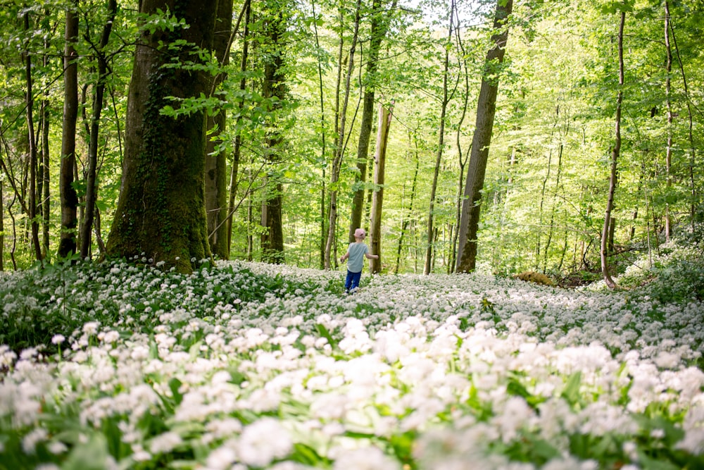 woman in blue long sleeve shirt walking on forest during daytime