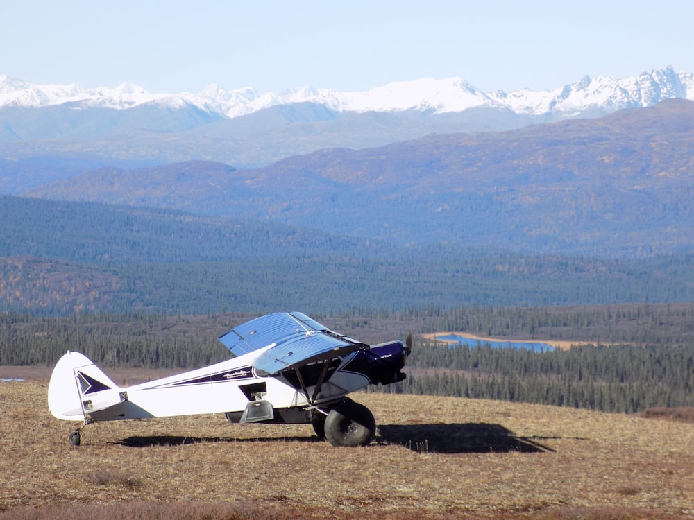 white and blue plane on green grass field during daytime