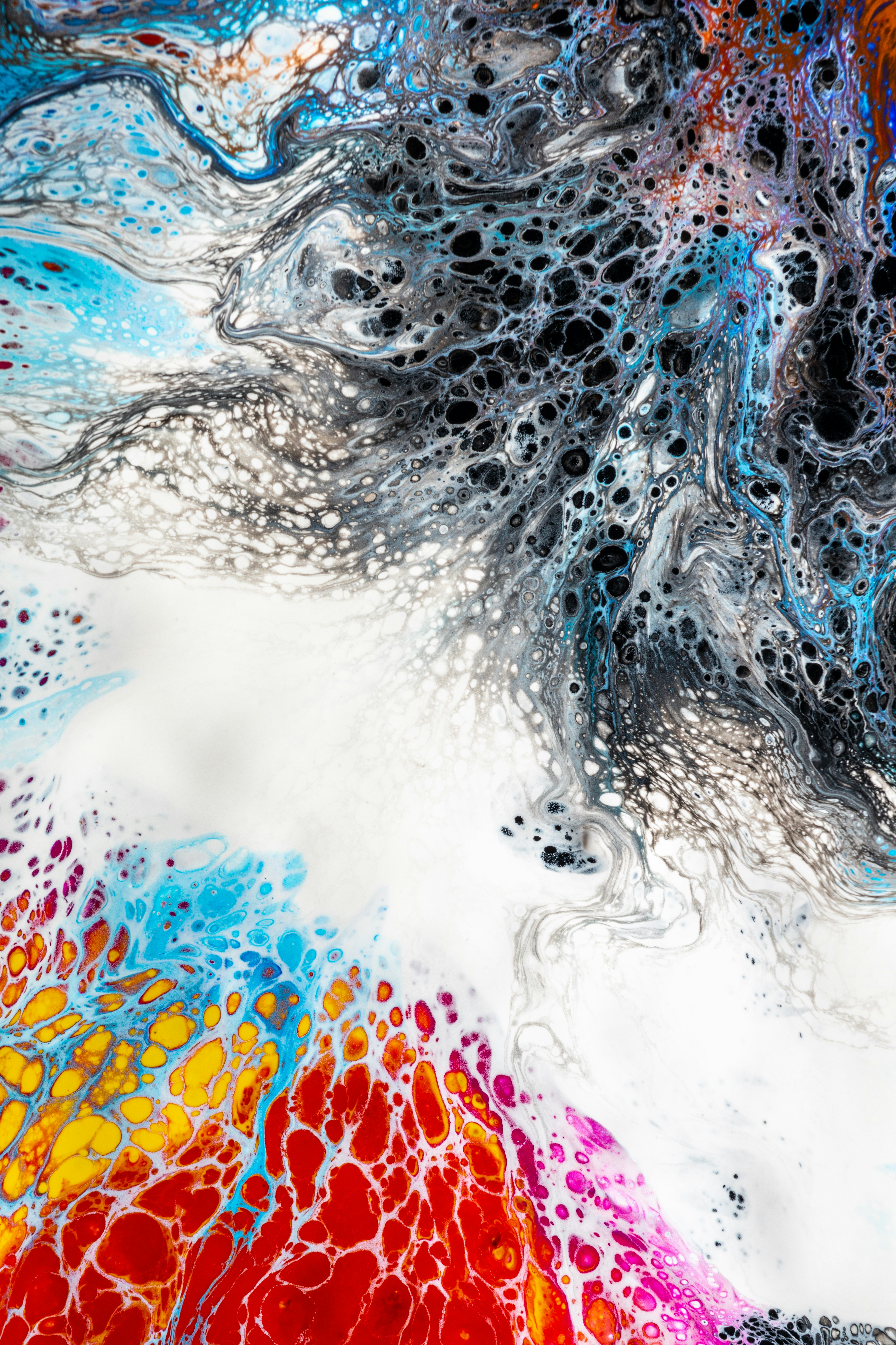 Photo by alexander_ant