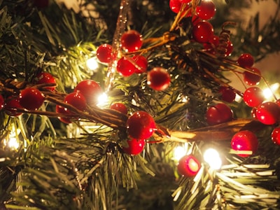 A close-up of decorative lighting on a winter wreath.