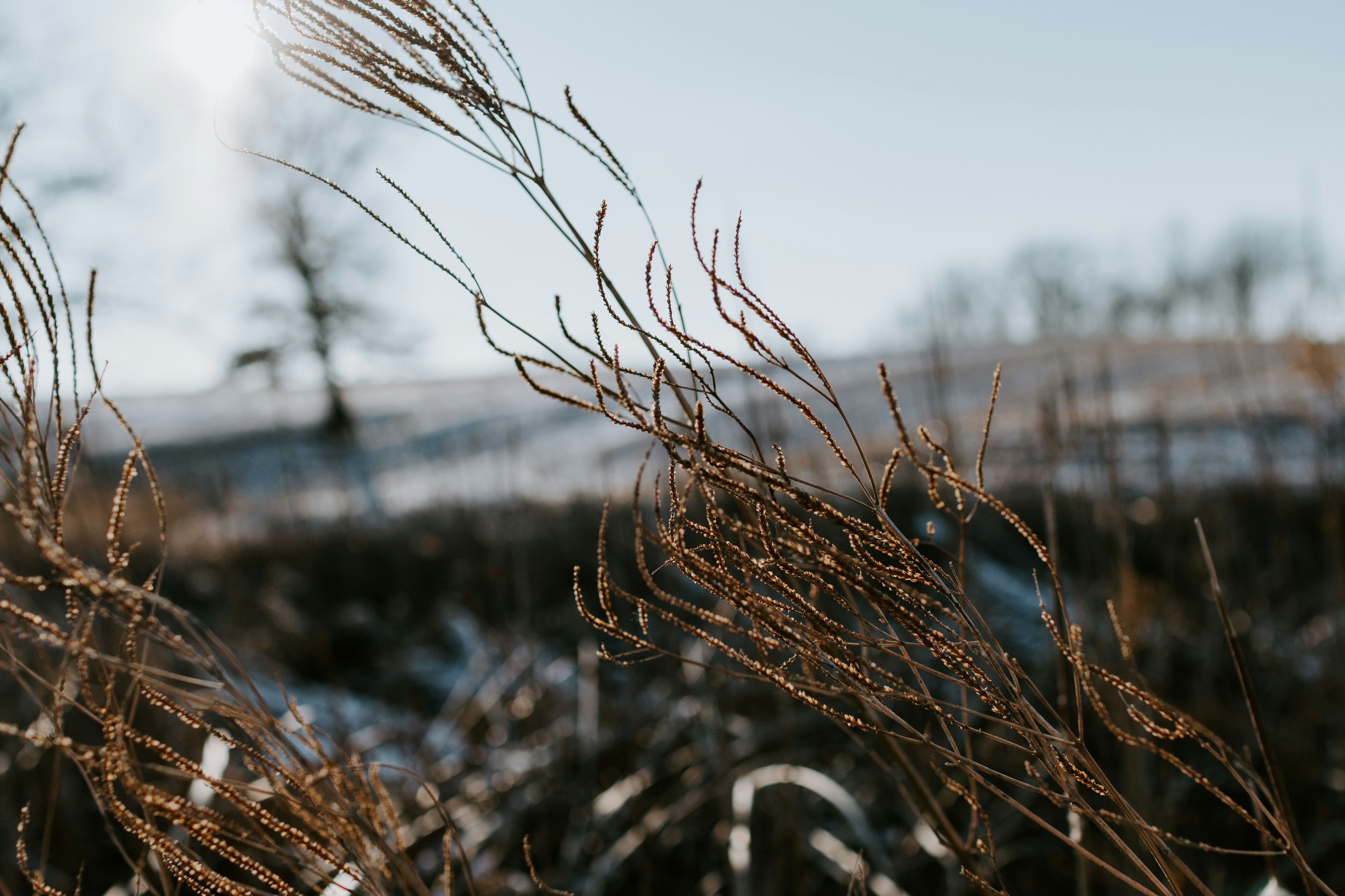 Photo by kellysikkema