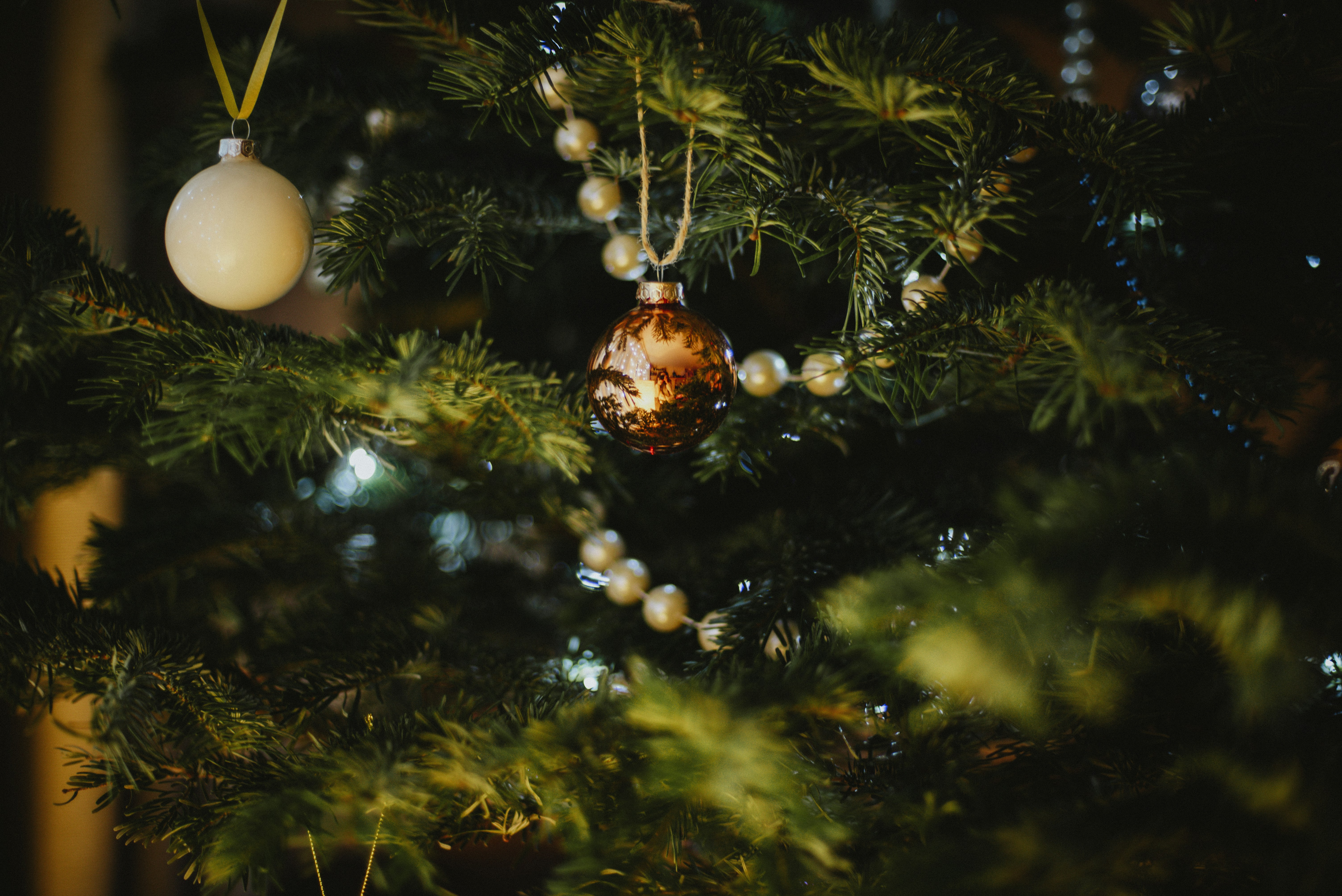 Photo by yuli_superson