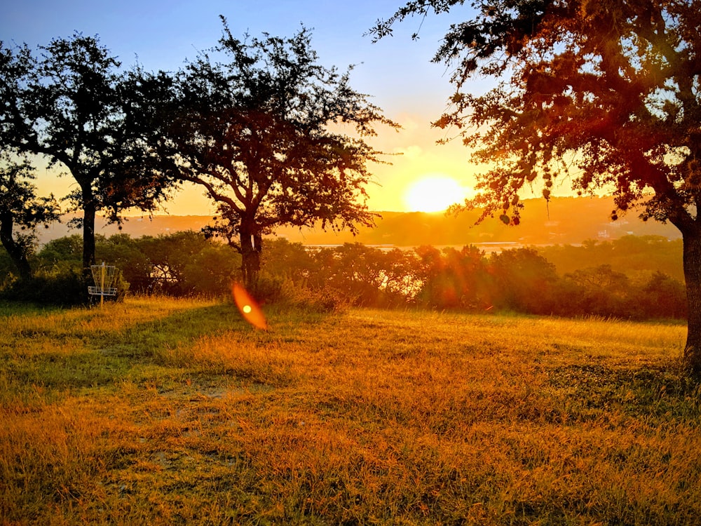 green grass field during sunset