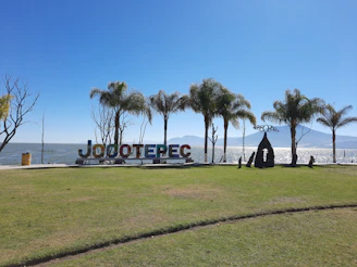 people sitting on grass field near body of water during daytime