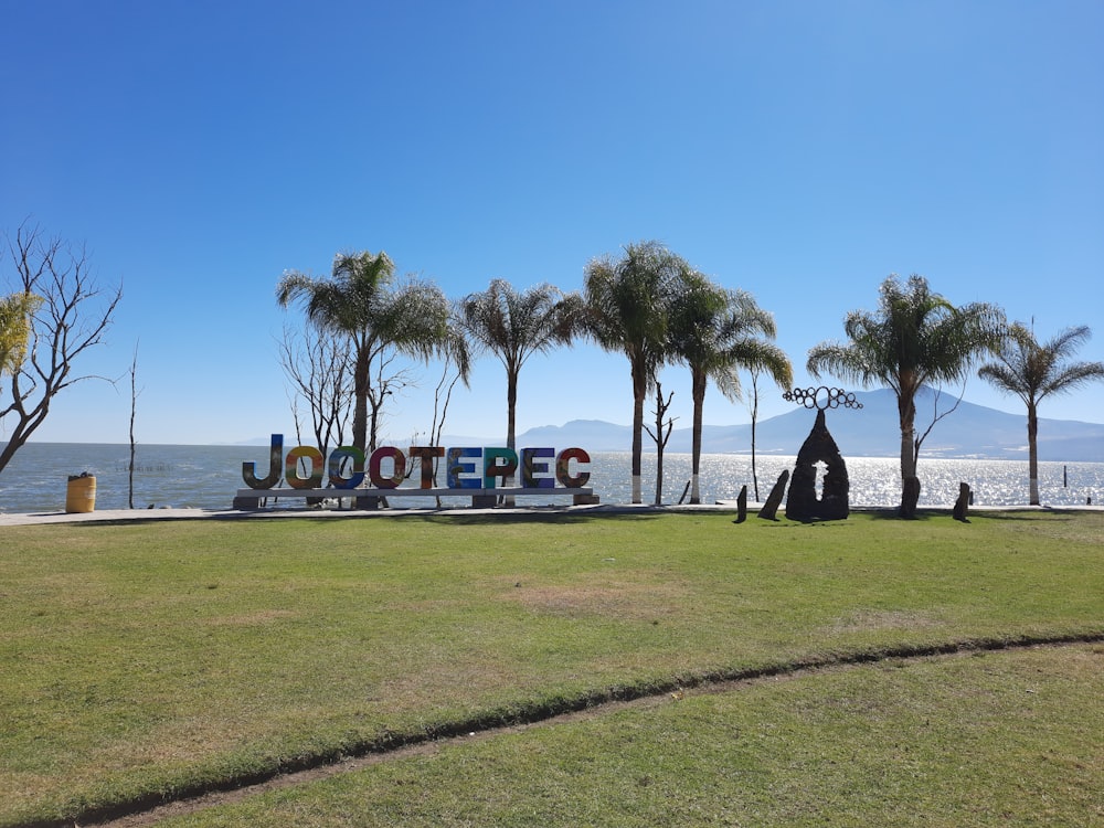 people sitting on grass field near body of water during daytime