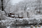 A winter scene featuring a garden covered in snow with trees, a wooden deck, and shrubs blanketed in white. Several potted plants are visible in the foreground, and snow has accumulated on branches and structures. Utility lines cross the sky, and the overall landscape has a serene, frozen appearance.