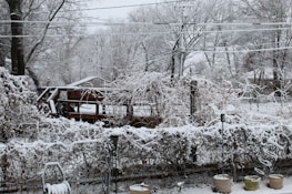 A winter scene featuring a garden covered in snow with trees, a wooden deck, and shrubs blanketed in white. Several potted plants are visible in the foreground, and snow has accumulated on branches and structures. Utility lines cross the sky, and the overall landscape has a serene, frozen appearance.
