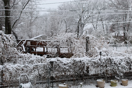 A winter scene featuring a garden covered in snow with trees, a wooden deck, and shrubs blanketed in white. Several potted plants are visible in the foreground, and snow has accumulated on branches and structures. Utility lines cross the sky, and the overall landscape has a serene, frozen appearance.