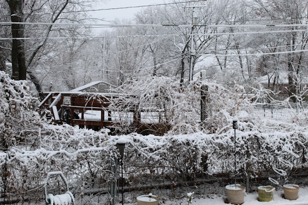 A winter scene featuring a garden covered in snow with trees, a wooden deck, and shrubs blanketed in white. Several potted plants are visible in the foreground, and snow has accumulated on branches and structures. Utility lines cross the sky, and the overall landscape has a serene, frozen appearance.