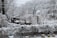 A winter scene featuring a garden covered in snow with trees, a wooden deck, and shrubs blanketed in white. Several potted plants are visible in the foreground, and snow has accumulated on branches and structures. Utility lines cross the sky, and the overall landscape has a serene, frozen appearance.