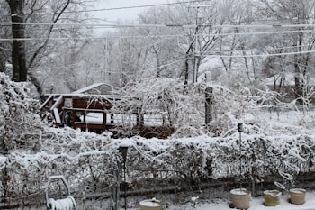 A winter scene featuring a garden covered in snow with trees, a wooden deck, and shrubs blanketed in white. Several potted plants are visible in the foreground, and snow has accumulated on branches and structures. Utility lines cross the sky, and the overall landscape has a serene, frozen appearance.