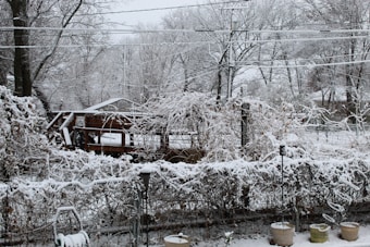 A winter scene featuring a garden covered in snow with trees, a wooden deck, and shrubs blanketed in white. Several potted plants are visible in the foreground, and snow has accumulated on branches and structures. Utility lines cross the sky, and the overall landscape has a serene, frozen appearance.