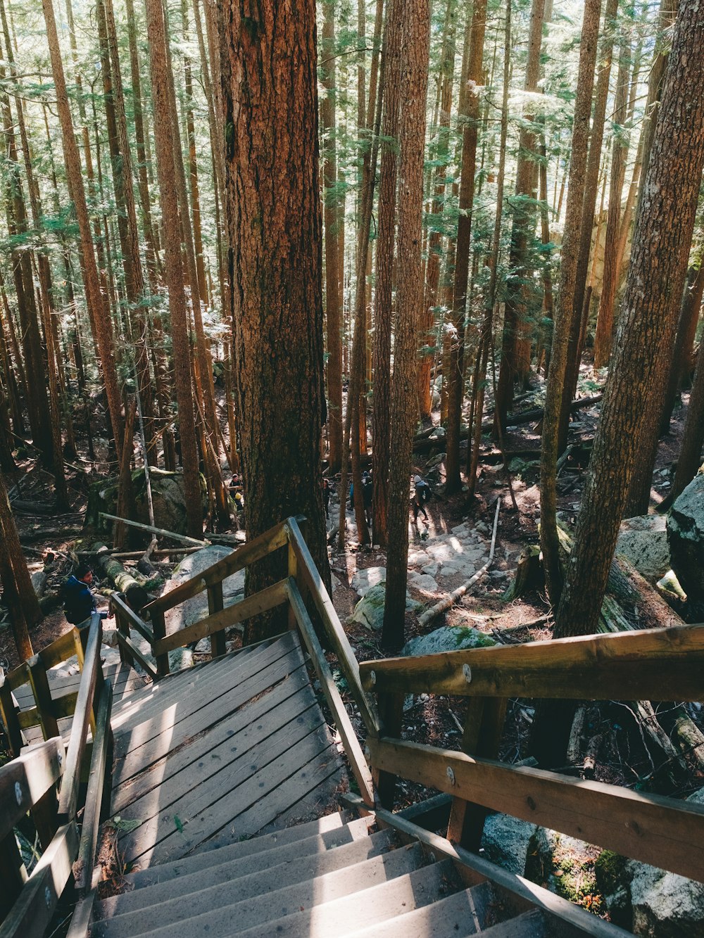 Puente de madera marrón en el bosque durante el día