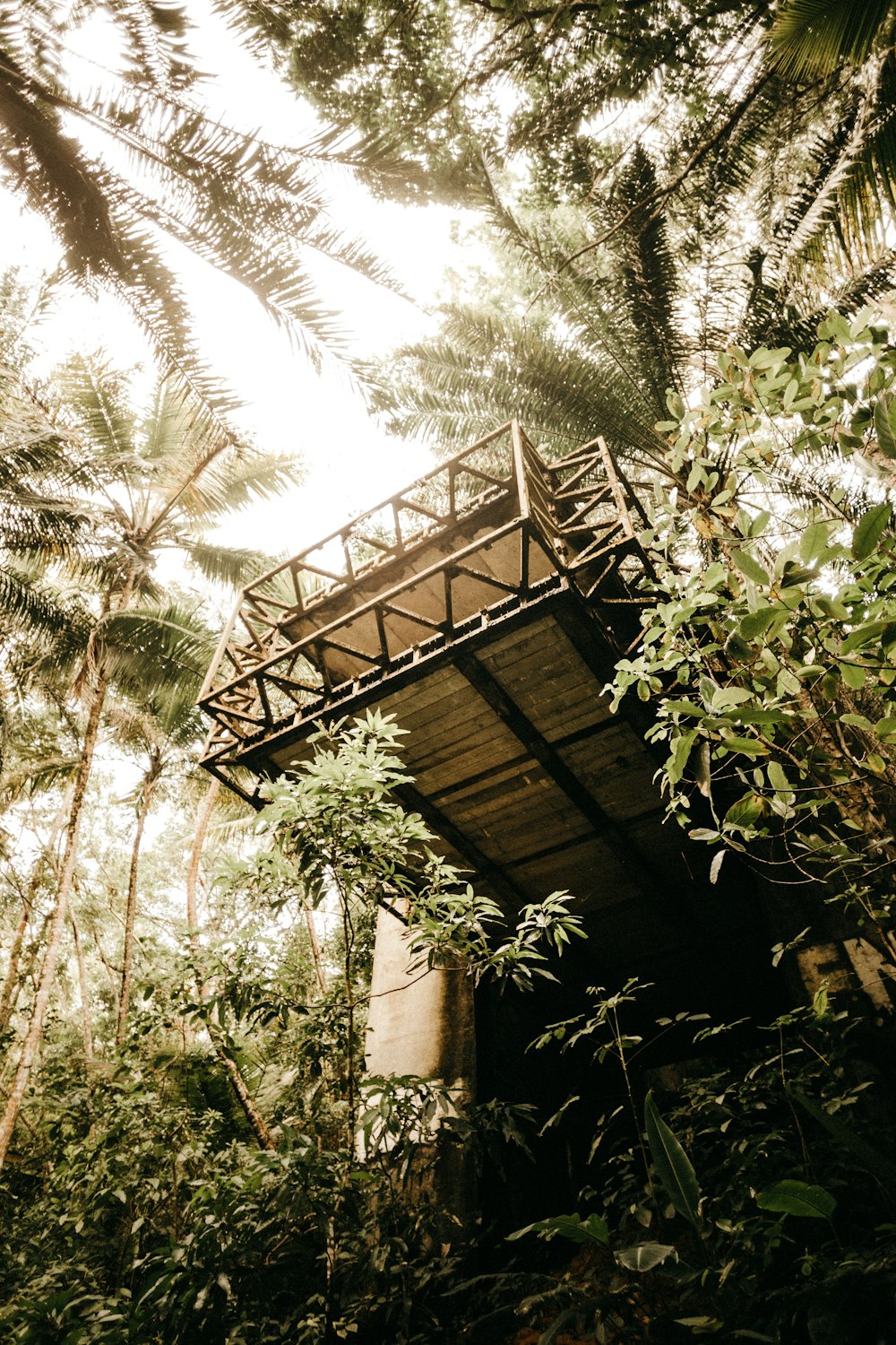 brown wooden house surrounded by green trees during daytime