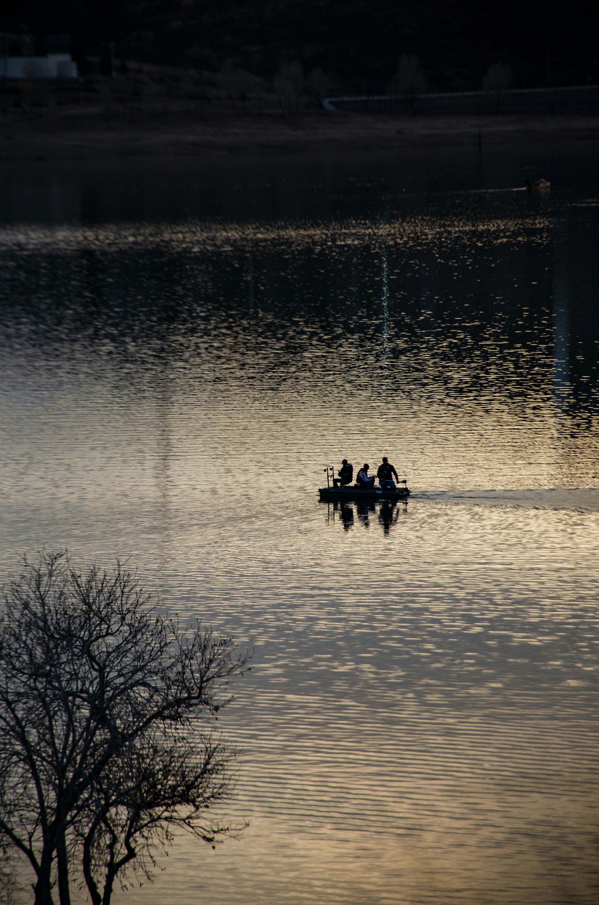 Photo by davidarreola